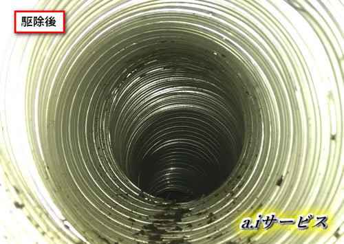 スズメバチ巣完全