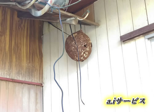 蜂の巣電源コード