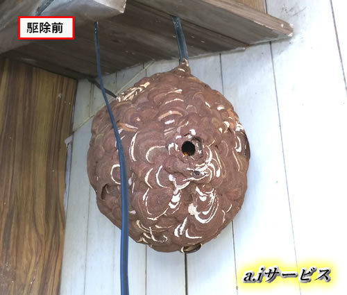 スズメバチ巣電源コード