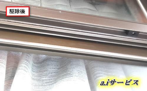 スズメバチ巣撤去