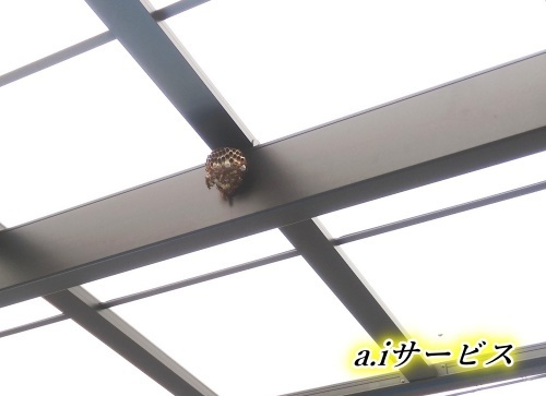 蜂の巣駆除カーポート 蜂の巣駆除カーポート