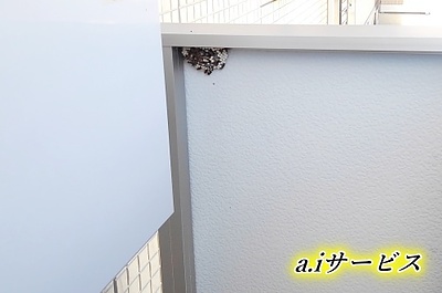 「ハイツバルコニーの腰壁に！」泉大津市の蜂の巣駆除