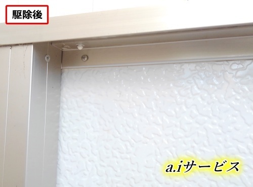 腰壁巣完全撤去 腰壁巣完全撤去