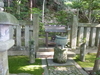 新緑美しい　楠妣庵観音寺を参拝して。　