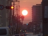 昨夕の沈む太陽～ご覧になられましたか？