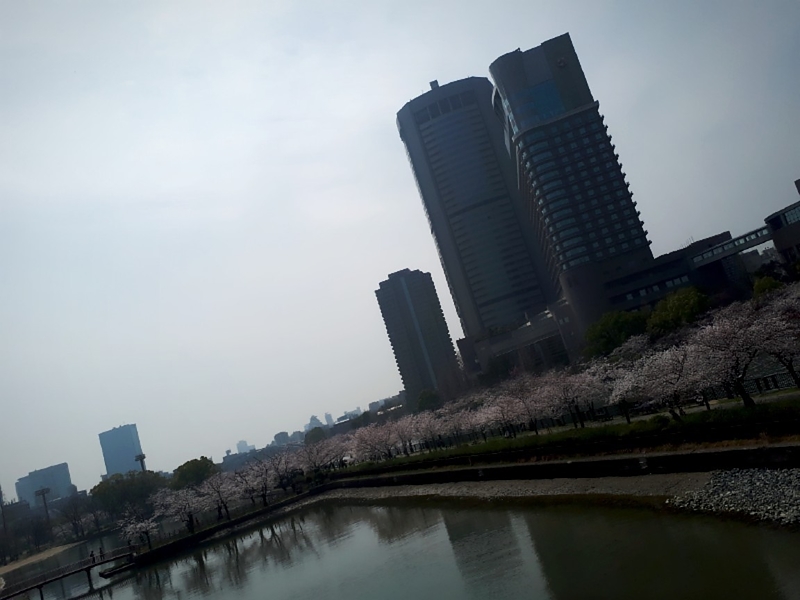 お花見2018　大川端