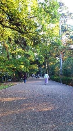 オアシス道路を南へ