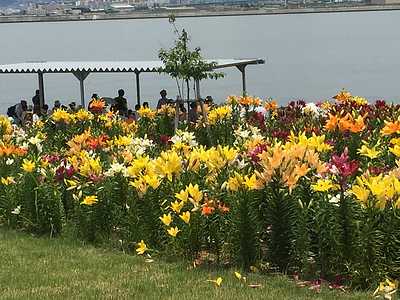 学級委員・係決めについて