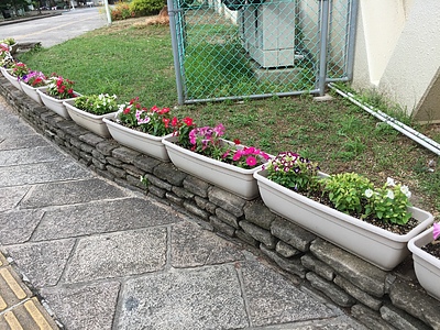 映画「小学校〜それは小さな社会〜」を観て