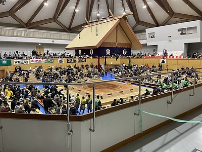 乙亥大相撲観覧＆愛媛・野村訪問報告①