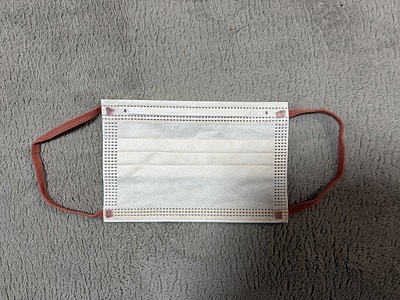 インフルエンザによる学級閉鎖について