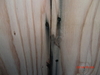 「枠組壁工法」（ツーバイフォー）の「耐力壁」（面材）の釘打ち不良