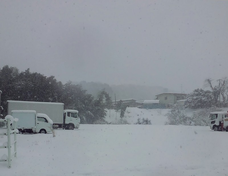 九州北部地方は日中マイナス気温という経験のない大寒波でした システムエンジニア 古賀竜一 マイベストプロ佐賀