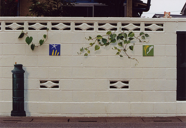 ブロック塀の隙間から蔦が出ている自然な壁画