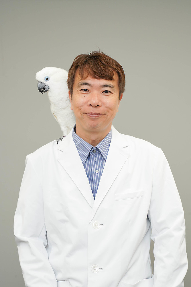 岡博史 おかひろし