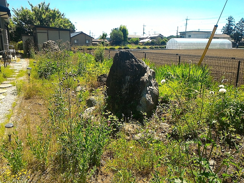 除草剤　散布