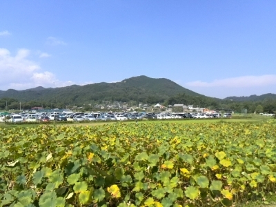 日和田山