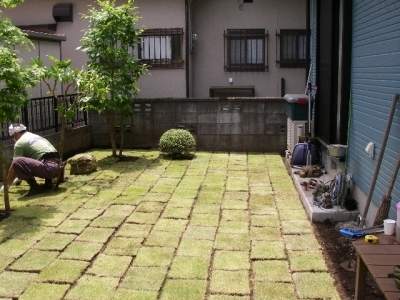 芝生植える