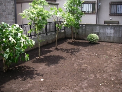 植え変え