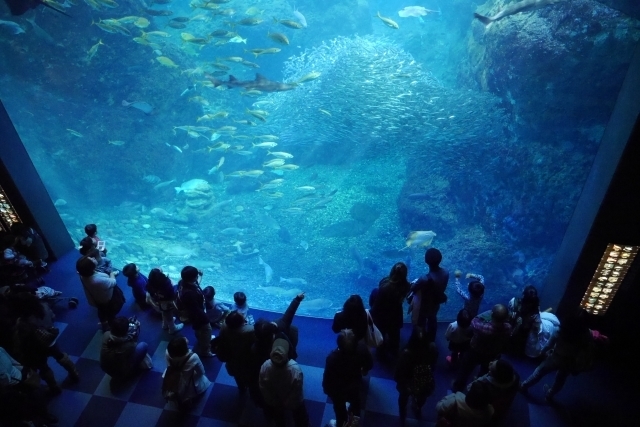 水族館