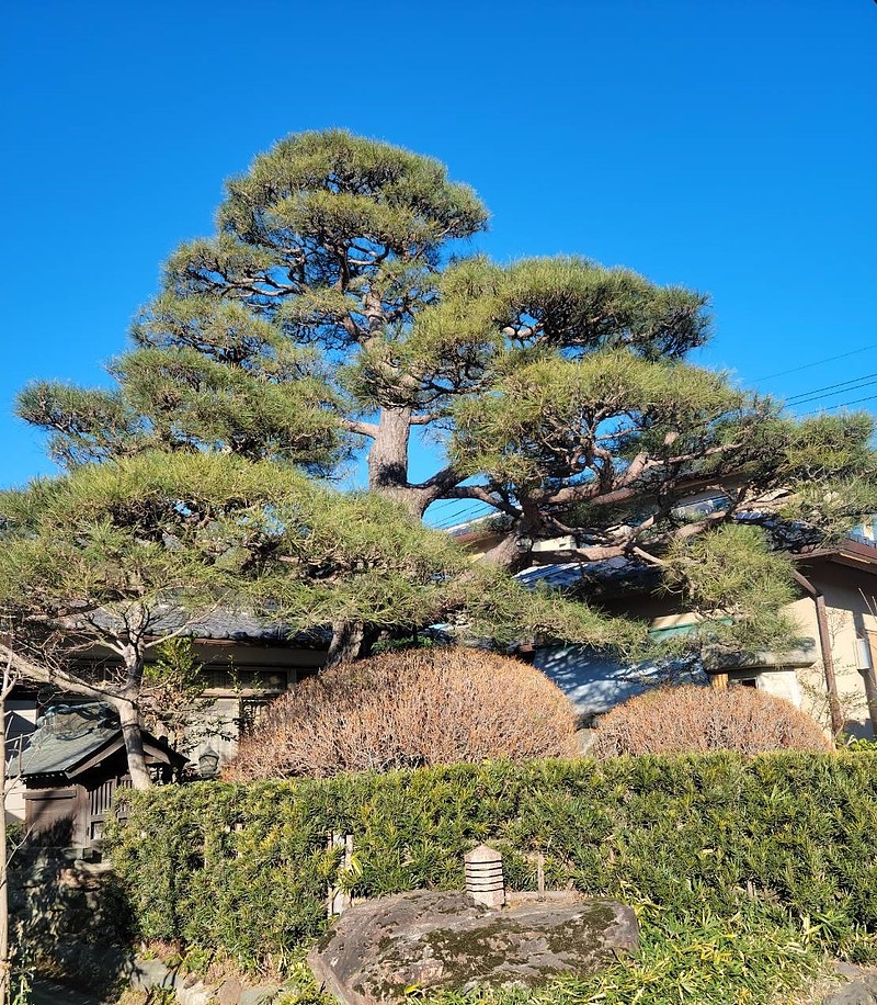 三島造園