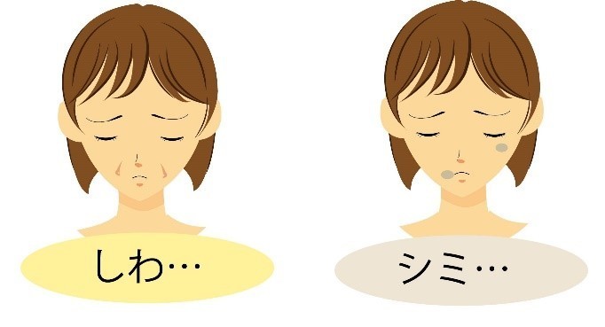 しわ、しみ しわ、しみ