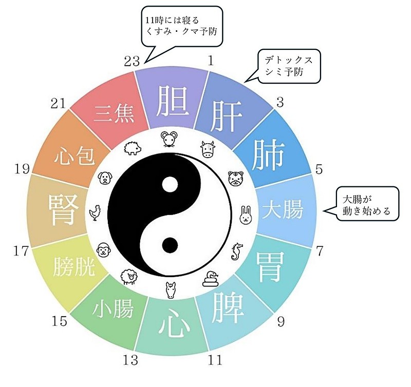 子午流注 子午流注