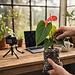 植物の命を繋ぐ「技術」と「土」の本当の価値