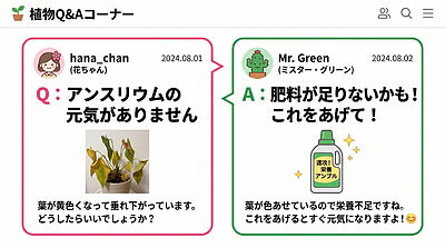 愛する植物の根を守る！正しい情報選び