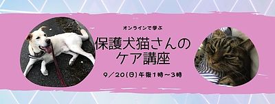 オンラインで学ぶ「保護犬猫のケア講座」