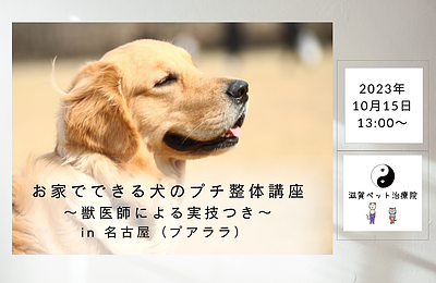 お家でできる犬のプチ整体講座 in 名古屋（プアララ）