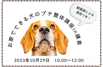 お家でできる犬のプチ整体講座 in 鎌倉