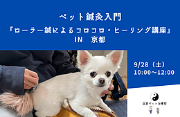 ペット鍼灸入門「ローラー鍼によるコロコロ・ヒーリング講座」 in 京都