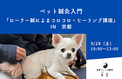 ペット鍼灸入門「ローラー鍼によるコロコロ・ヒーリング講座」 in 京都