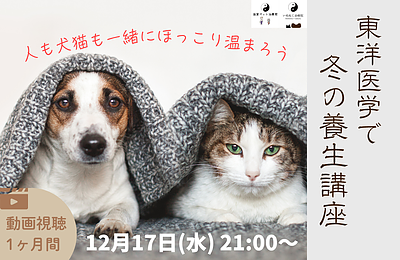 オンラインミニ講座「東洋医学で冬の養生」〜 人も犬猫も一緒にほっこり温まろう