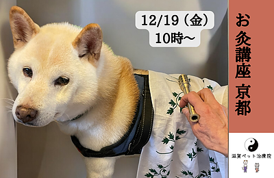 犬猫にお灸を〜ペット鍼灸入門「お灸講座」in 京都