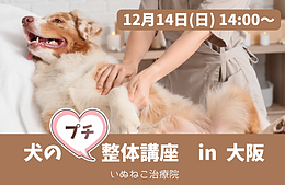「犬猫のプチ整体講座」in 大阪（いぬねこ治療院）