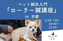 ペット鍼灸入門「ローラー鍼によるコロコロ・ヒーリング講座」 in 京都
