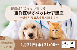 オンラインミニ講座「獣医師がこっそり教える東洋医学でペットケア講座」〜明日から使える豆知識！！