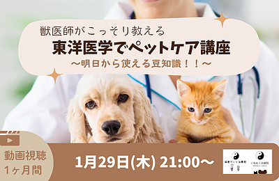 オンラインミニ講座「獣医師がこっそり教える東洋医学でペットケア講座」〜明日から使える豆知識！！