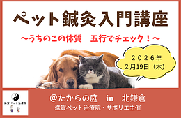 ペット鍼灸入門講座 〜うちのこの体質 五行でチェック!〜（in 鎌倉）