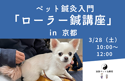 ペット鍼灸入門「ローラー鍼によるコロコロ・ヒーリング講座」 in 京都