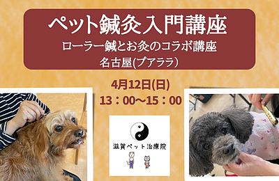 ペット鍼灸入門「ローラー鍼とお灸のコラボ講座」in 名古屋（プアララ）