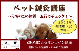 ペット鍼灸講座〜うちのこの体質、五行でチェック！