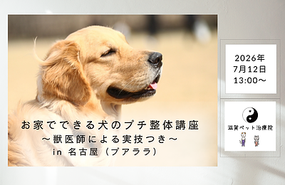 お家でできる犬のプチ整体講座 〜 獣医師による実技つき〜 in 名古屋（プアララ）