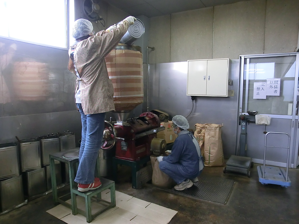 狩野道雄 かのうみちお