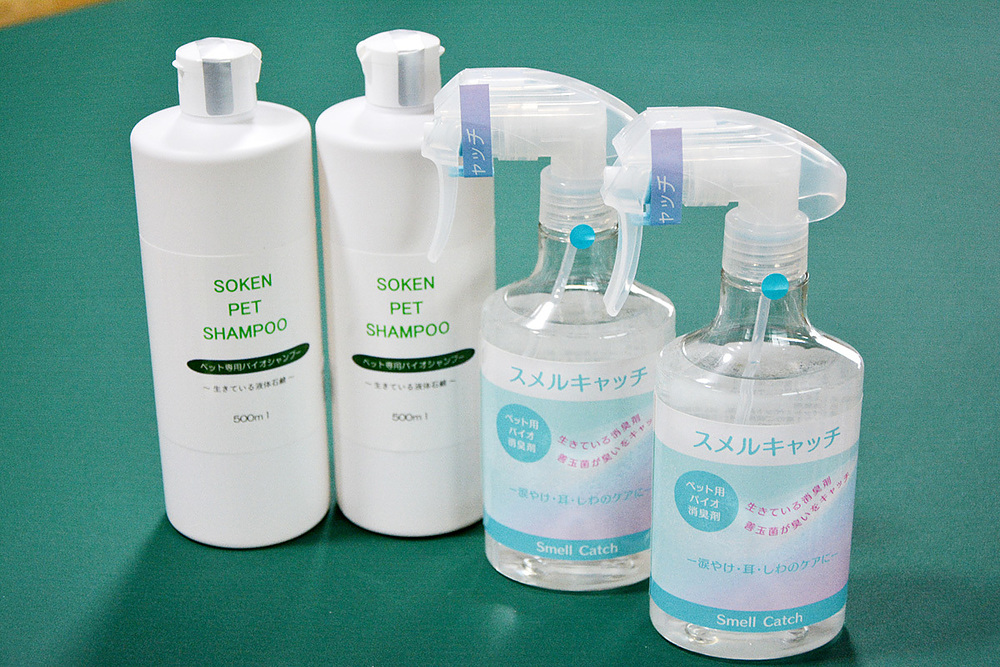 望月文秀 もちづきふみひで