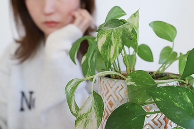 内省習慣化のすすめ― 朝日新聞「耕論」から考えるアイデンティティの話 ―