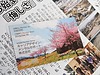 【お知らせ】桜は、100年後に何を語り継ぐのか  ― 桜ライン311 マンスリーサポーターになりました ―