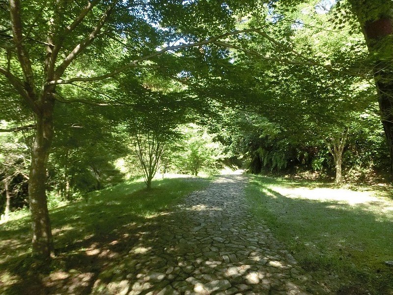 県立浜北森林公園2